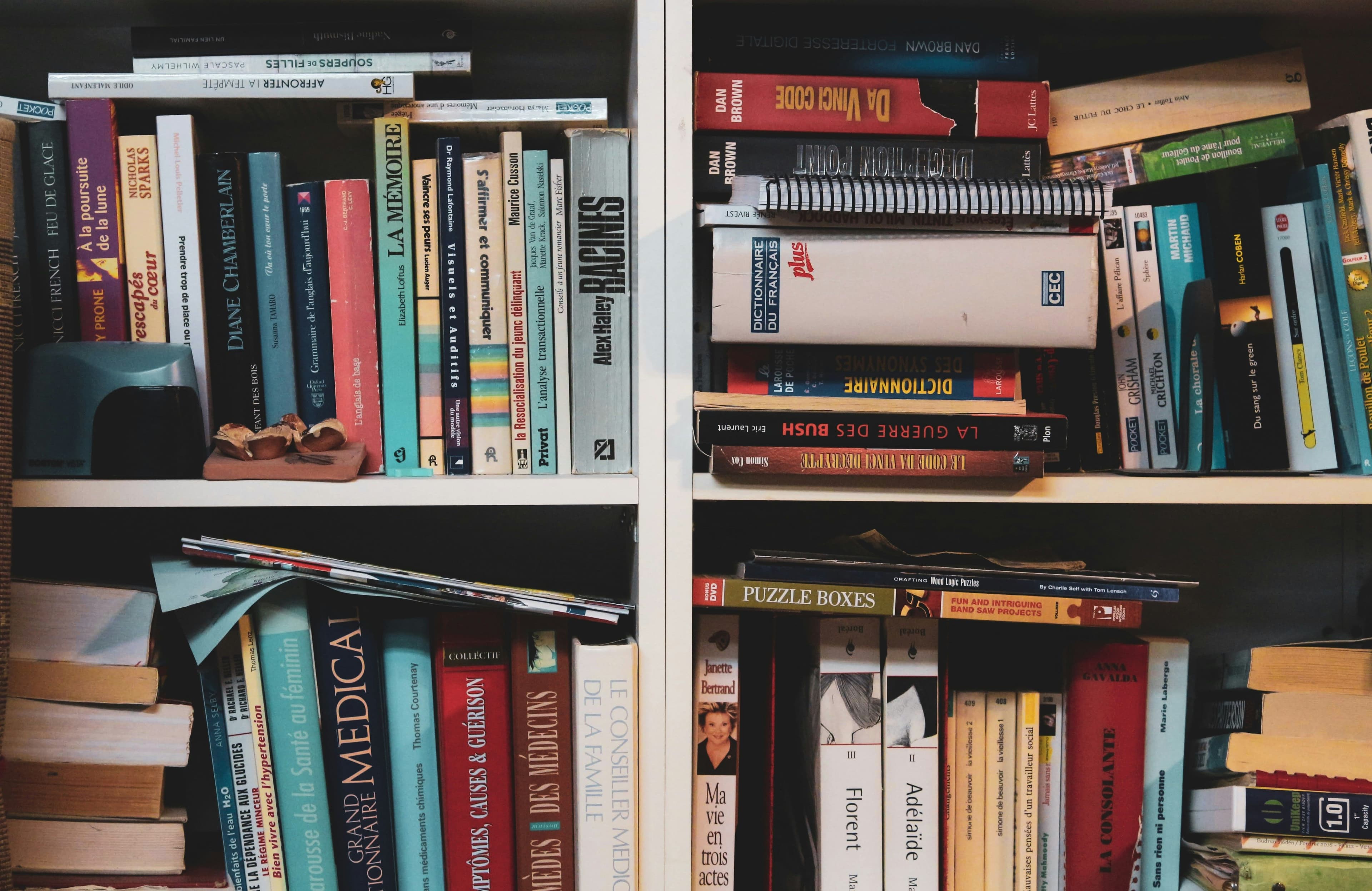 une étagère pleine de livres